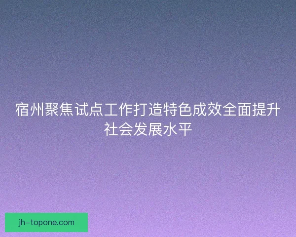 宿州聚焦试点工作打造特色成效全面提升社会发展水平