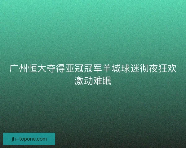 广州恒大夺得亚冠冠军羊城球迷彻夜狂欢激动难眠 广州恒大夺得亚冠冠军羊城球迷彻夜狂欢激动难眠